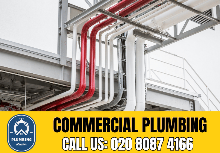 commercial plumbing Pimlico 