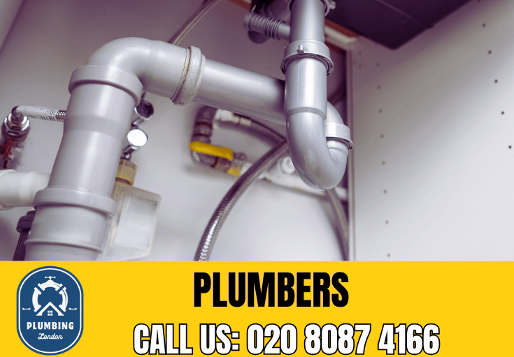  plumber Millbank