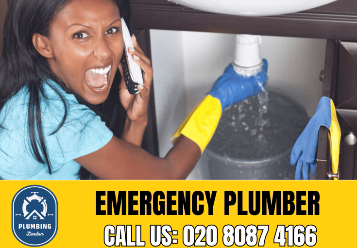 emergency plumber Pimlico 