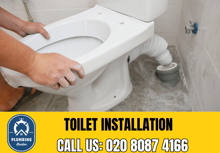 toilet fitters Pimlico 